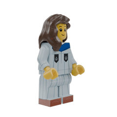 Blue Lion Edition Mini Graduates – Master Version - Brick Memory